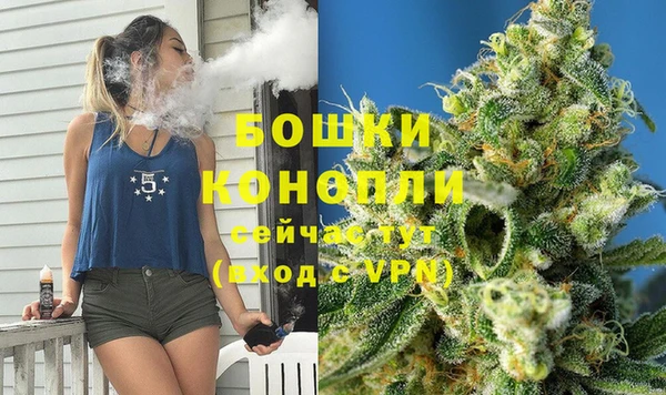 крисы Верея