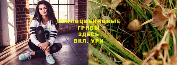 крисы Верея