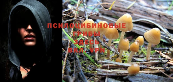 apvp Верхний Тагил